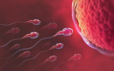 Improving Male Infertility With Acupuncture, Herbal Medicine, & Supplements (Part 2)